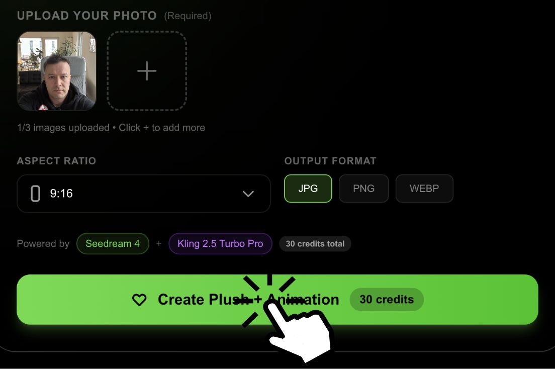 Step 2: Choose settings for your plush toy transformation
